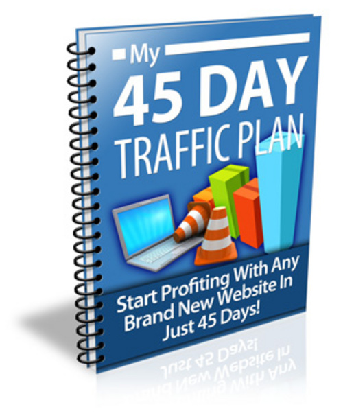 Product picture 45 Day Traffic Plan