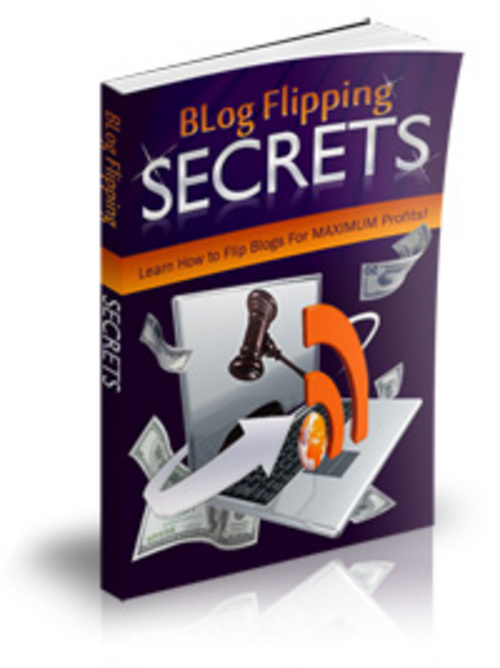 Product picture Blog Flipping Profit